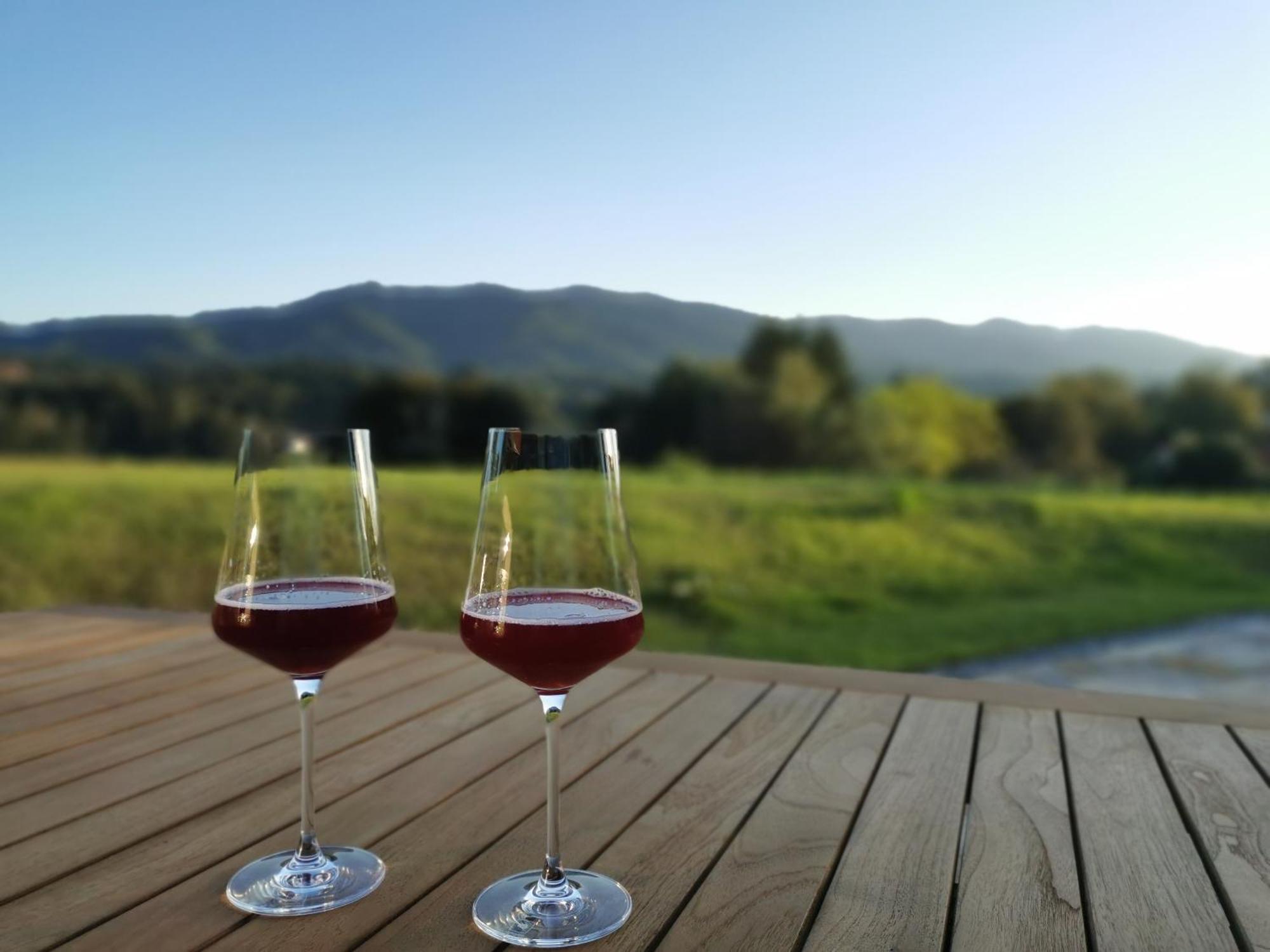 Traumhaftes Ferienhaus Am Lateinberg - 8455 Eibiswald Suedsteiermark Eksteriør billede