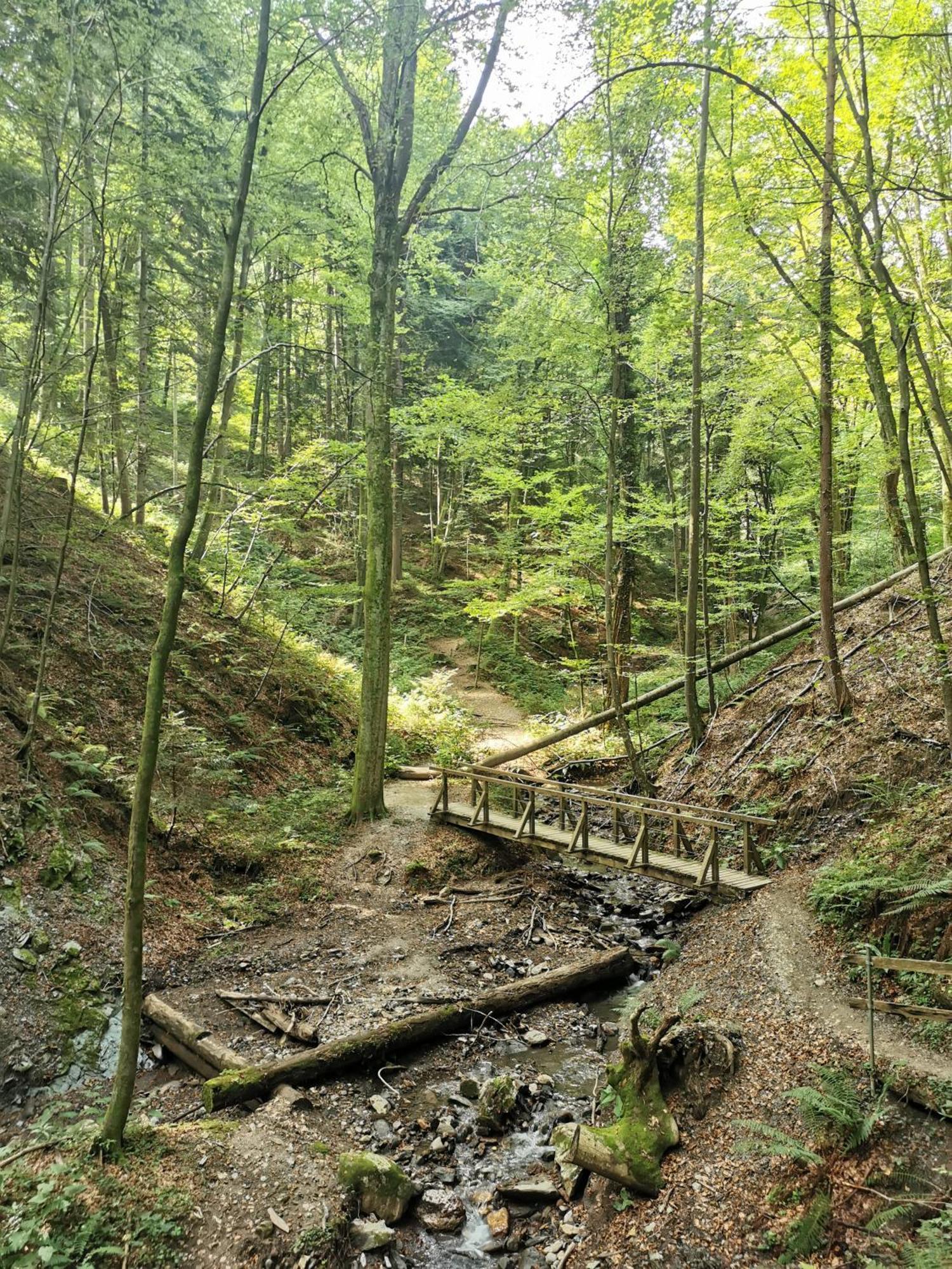 Traumhaftes Ferienhaus Am Lateinberg - 8455 Eibiswald Suedsteiermark Eksteriør billede