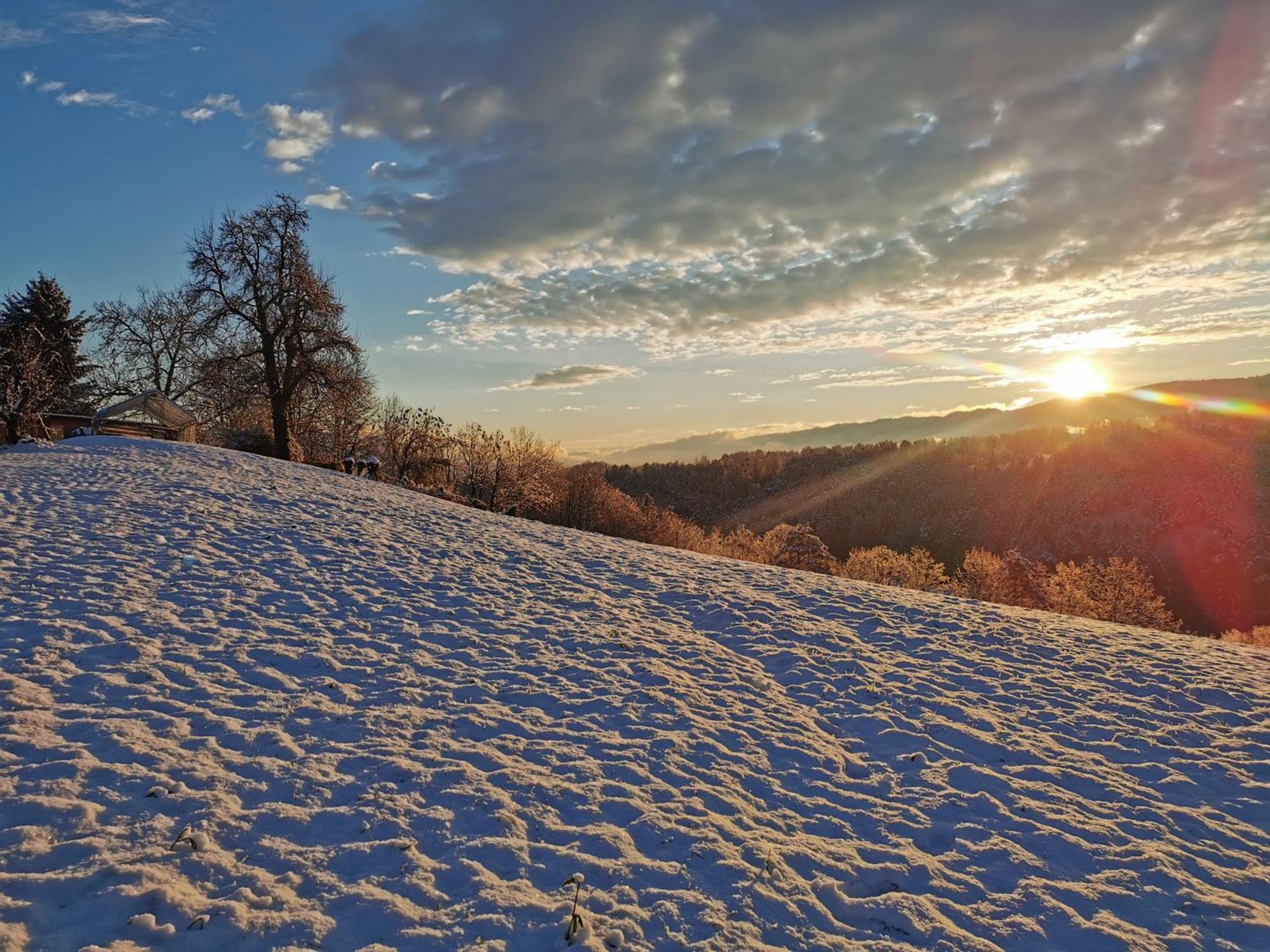 Traumhaftes Ferienhaus Am Lateinberg - 8455 Eibiswald Suedsteiermark Eksteriør billede