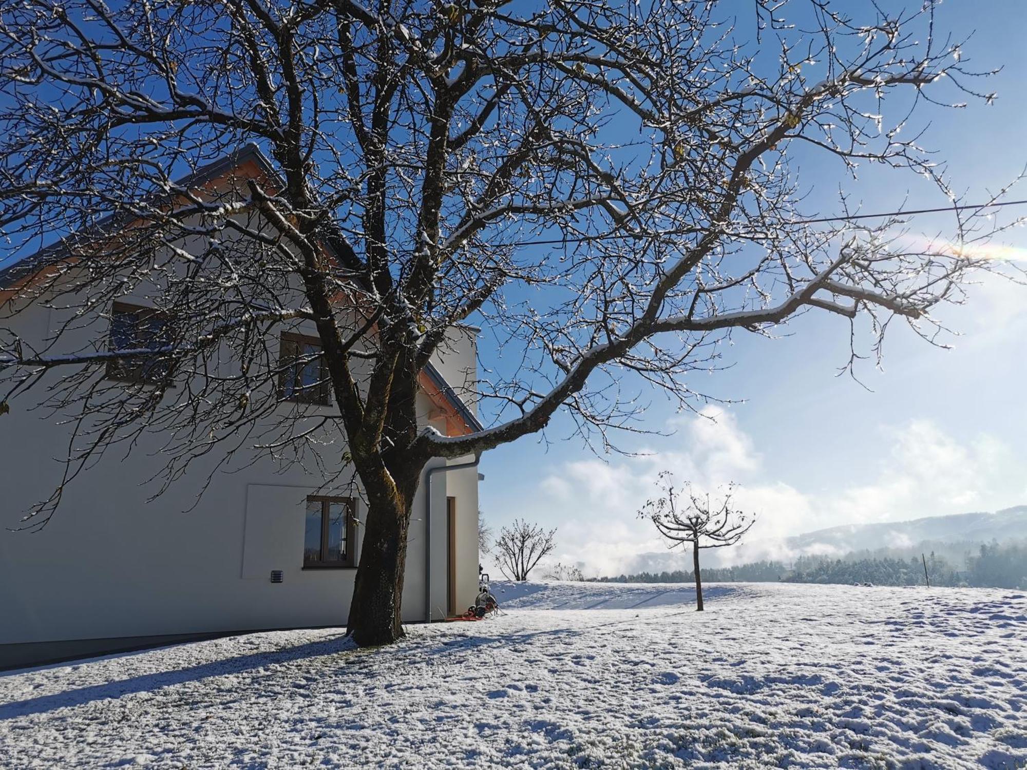Traumhaftes Ferienhaus Am Lateinberg - 8455 Eibiswald Suedsteiermark Eksteriør billede