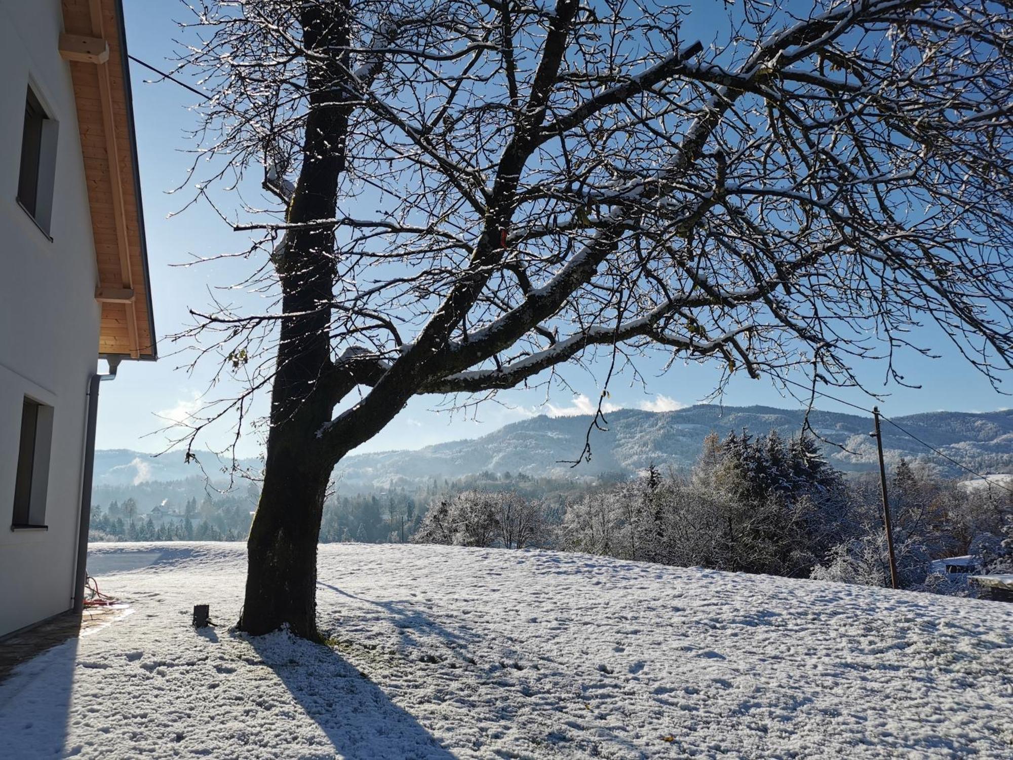 Traumhaftes Ferienhaus Am Lateinberg - 8455 Eibiswald Suedsteiermark Eksteriør billede