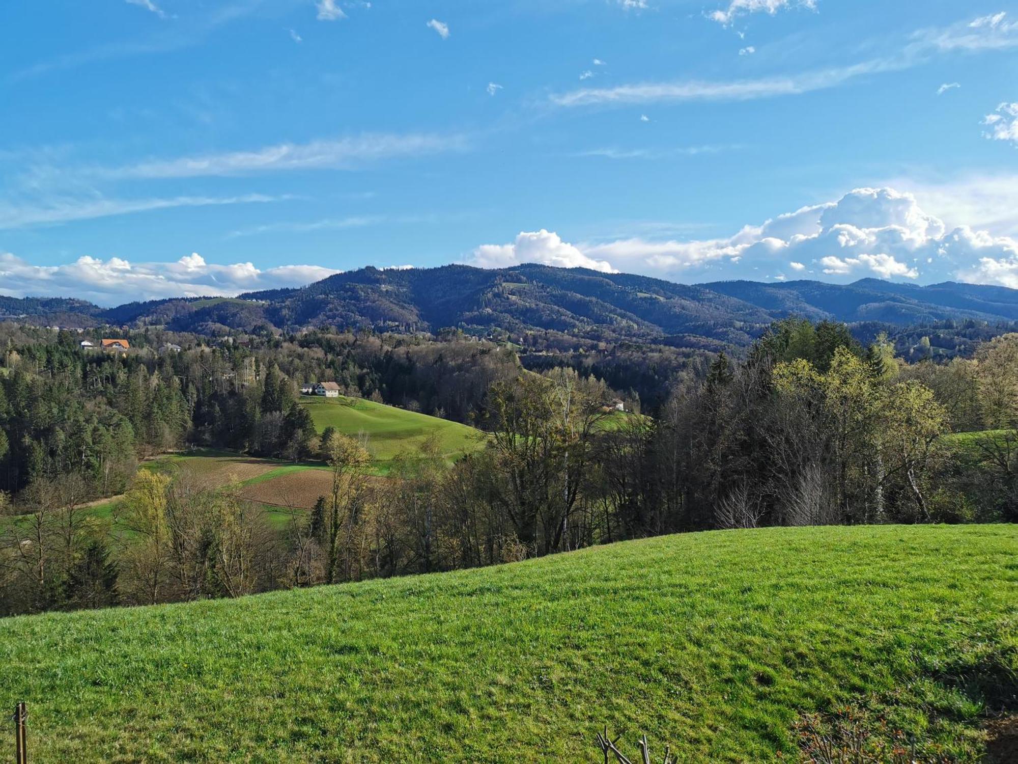 Traumhaftes Ferienhaus Am Lateinberg - 8455 Eibiswald Suedsteiermark Eksteriør billede