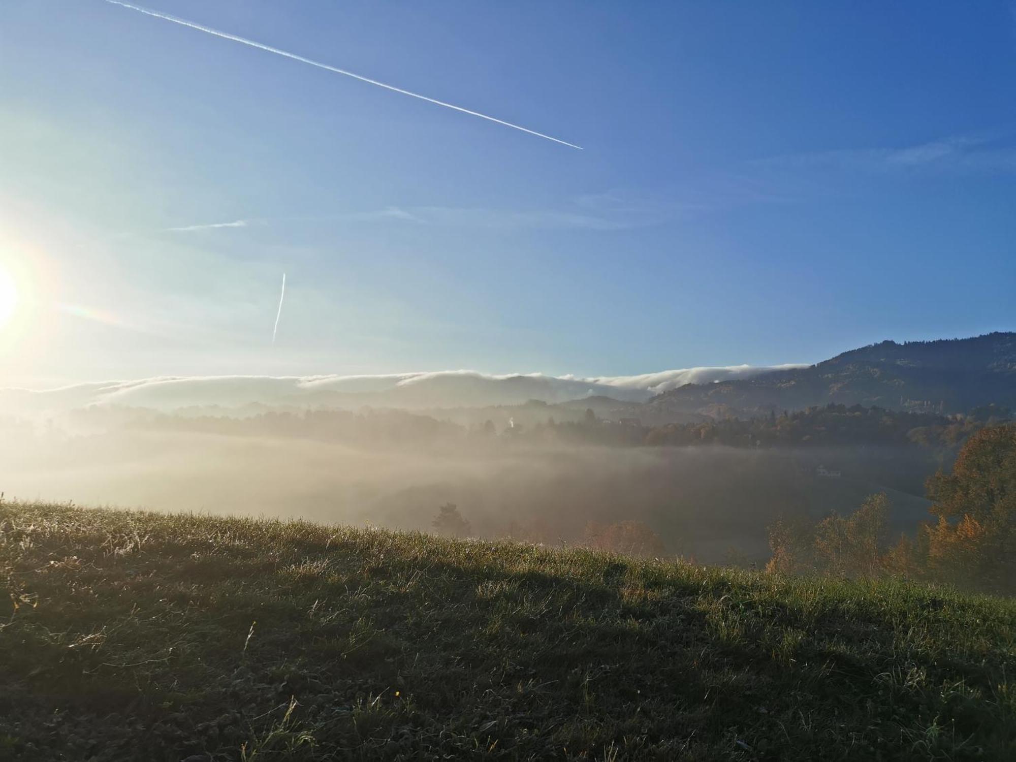 Traumhaftes Ferienhaus Am Lateinberg - 8455 Eibiswald Suedsteiermark Eksteriør billede